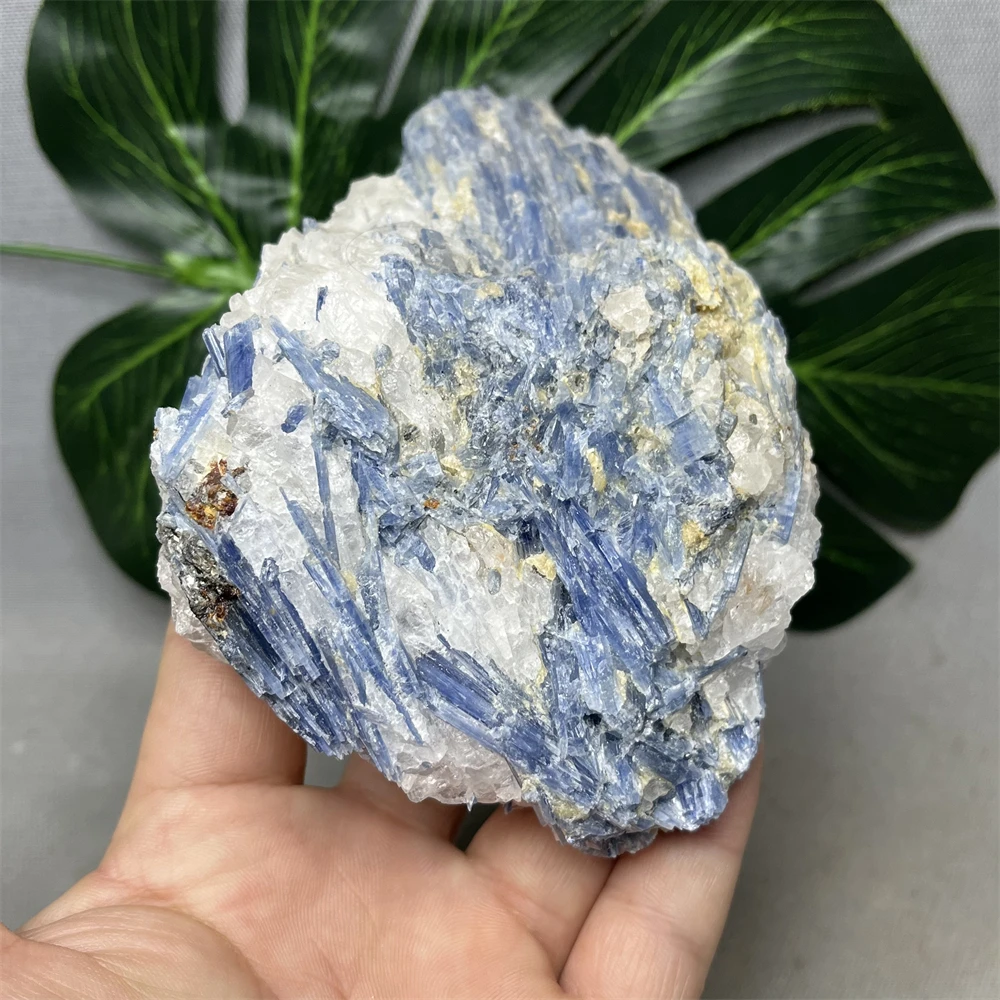 Austrian Kyanite Natural Gemstone Blue Crystal Original Mineral Specimen Home Room Decoration Collection Crystal Healing