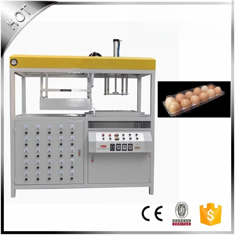 Plastic Seedling Tray Egg Tray Cake Tray Vacuum Forming Machine