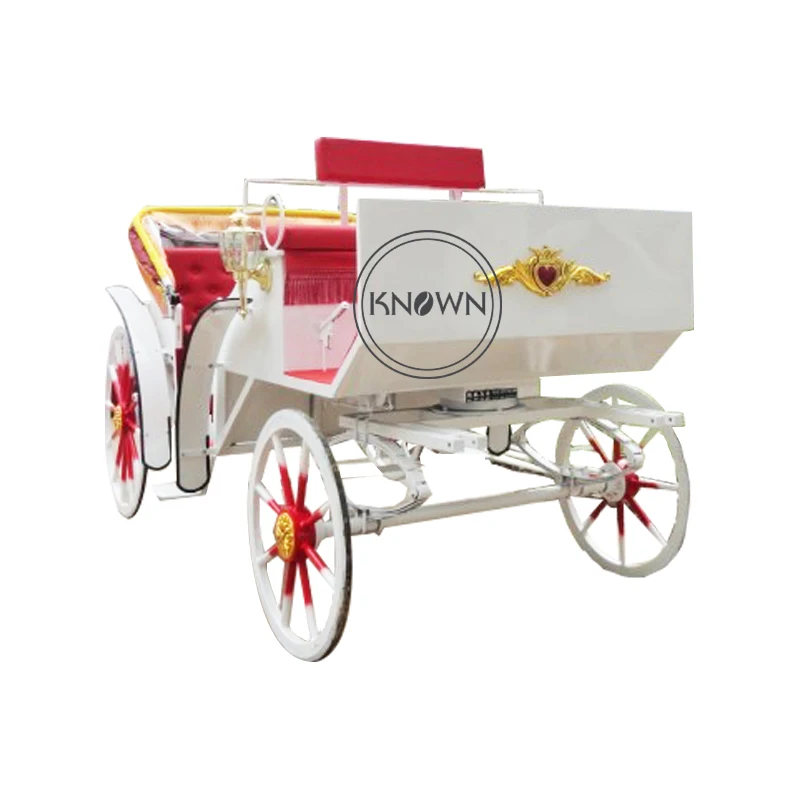 OEM Royal Wedding Horse Bagghi/Wedding Covered Carriages Manufacturer