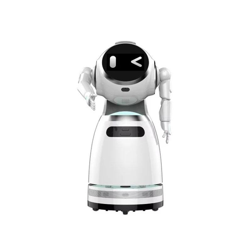 Customized Factory-Direct Robot - AI Consulting Reception & Business Welcome Robot for Retail