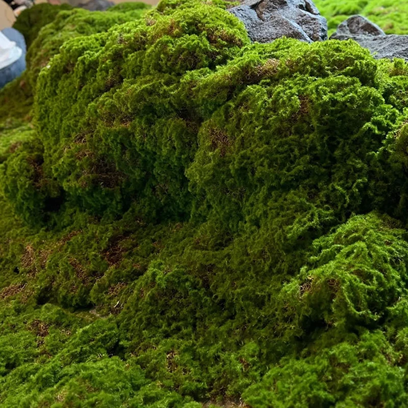 Moss Micro Landscape Layout Lawn Bonsai Pottery Paving Landscape Outdoor IndoorArtificial Moss Landscape Bionic Lawn False