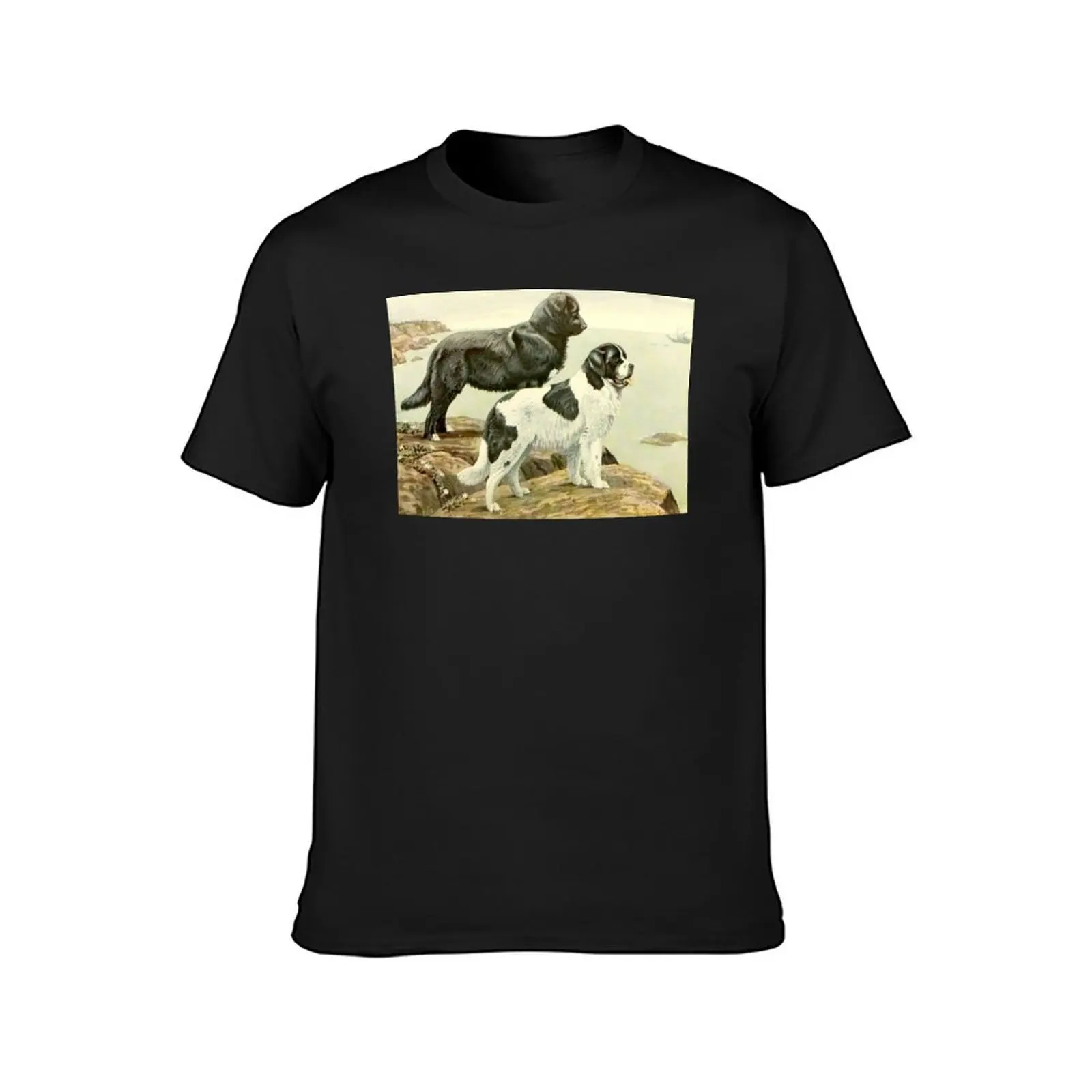 Antique Newfoundland and Landseer T-Shirt blanks blacks black t-shirts for men