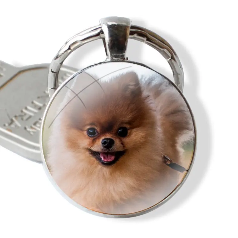 Pomeranian dog Cartoon Creative Design Fashion Keychain Handmade Glass Cabochon Key Ring Holder Pendant Key Chains