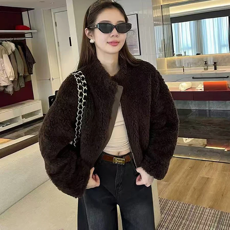 Winter Women's Jackets Korean Version Simple Stand-Up Collar Lantern Sleeve Wearing Two Sides Parkas Casual Loose Lamb Fur Coat