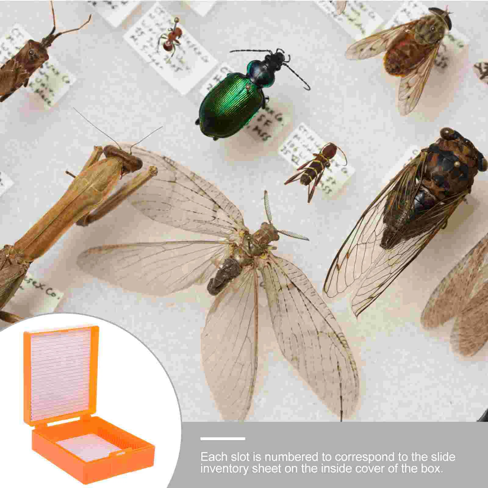 Профессиональный ящик для хранения предметных стекол для микроскопа, ящик для хранения предметных стекол, цветной ящик для хранения предметных стекол для микроскопа