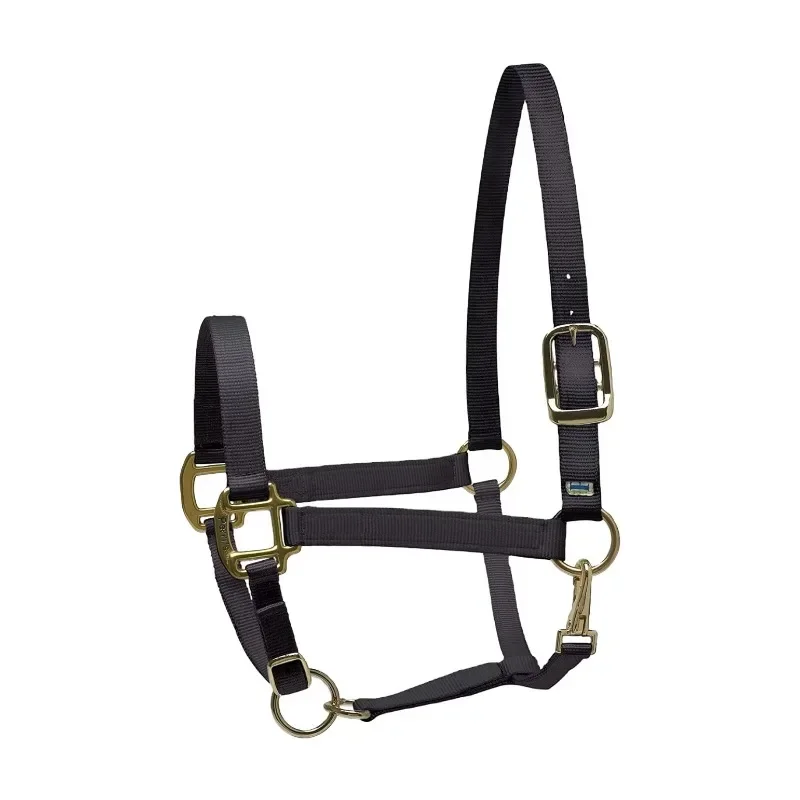 Equestrian Equipment Horse Halter Custom Designed Racing Halter High Quality Leather Material for Professional Training 2026 New