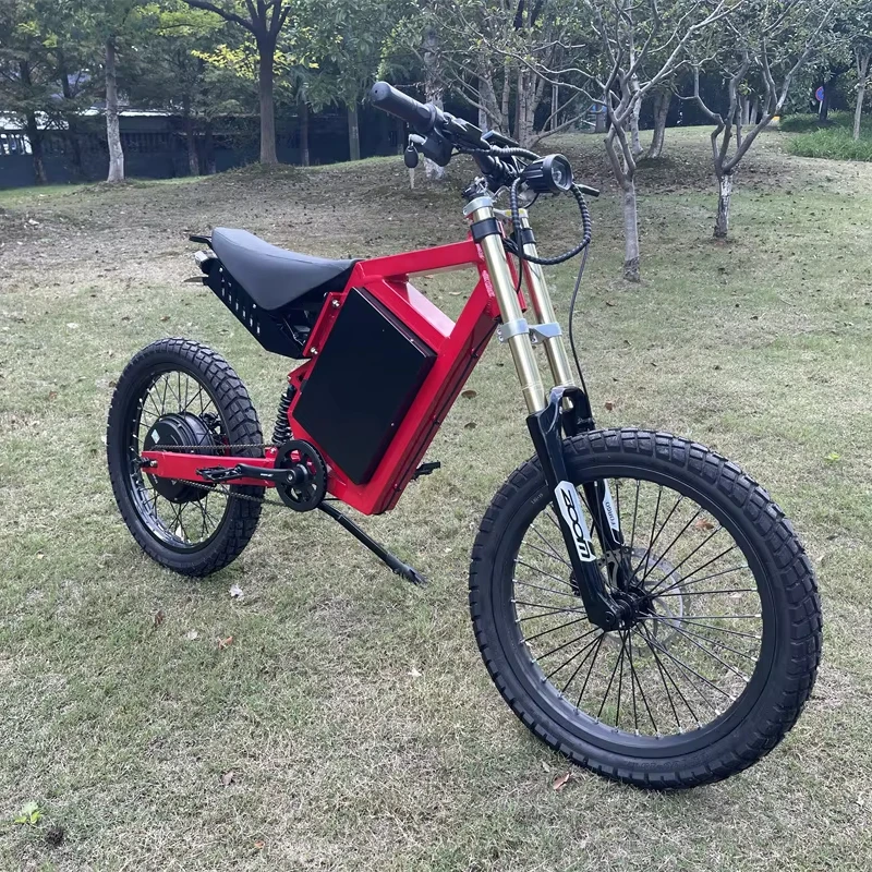 CS20 48V 3000 Watt Electric Mountain Bike Aluminum Frame Electric Bicycle Ebike 2024 Popular Bike Pitbike