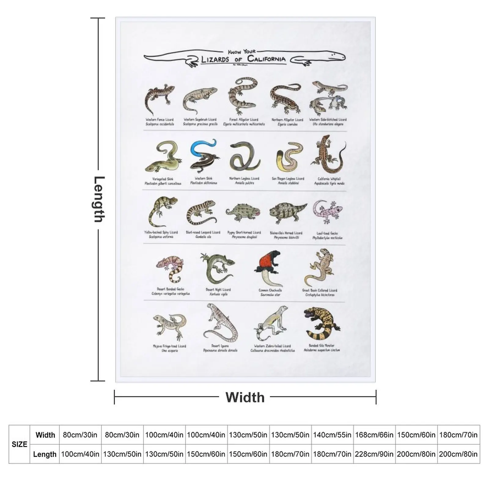 Lizards of California Throw Blanket heavy to sleep for sofa Luxury Designer For Baby for babies Luxury Blankets