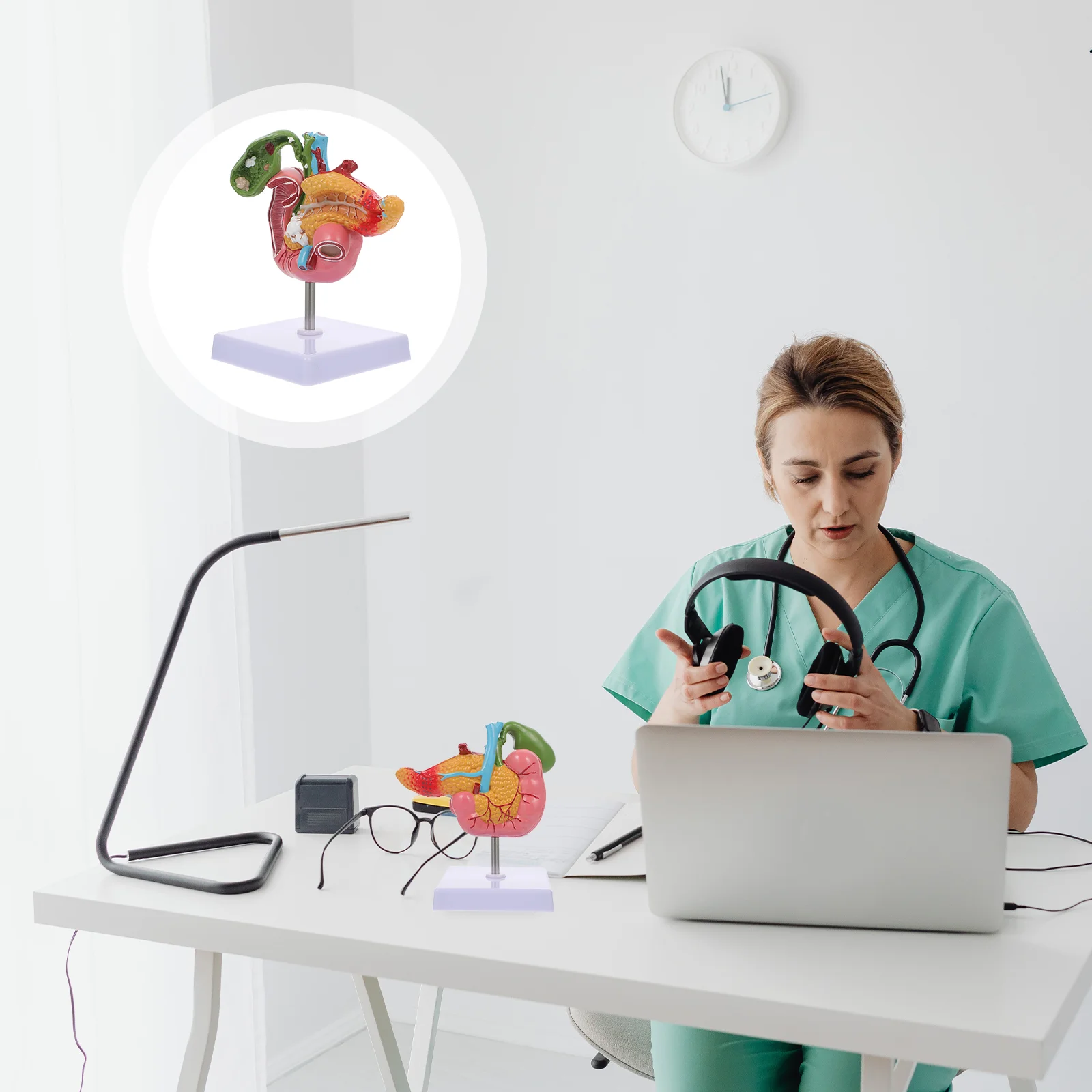 Pathological Model of Gallbladder Biological Teaching Instrument Anatomical Apparatus Models Pvc Human Pancreas Lesions