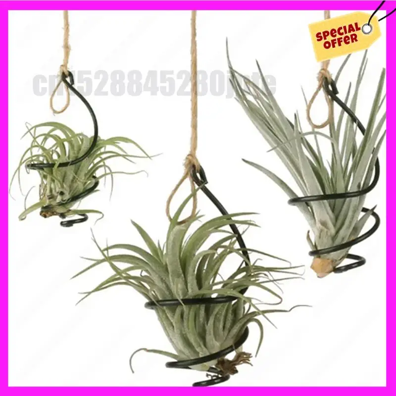 

-ABUB 24X Air Pineapple Hook Hanging Flower Stand Pots Display Hanger Holder Iron