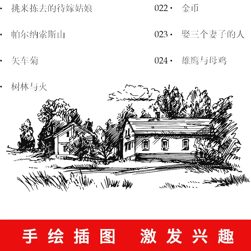 World Renowned Literary Novels, Translations of Famous Names, Extracurricular Reading Books for Middle School Students