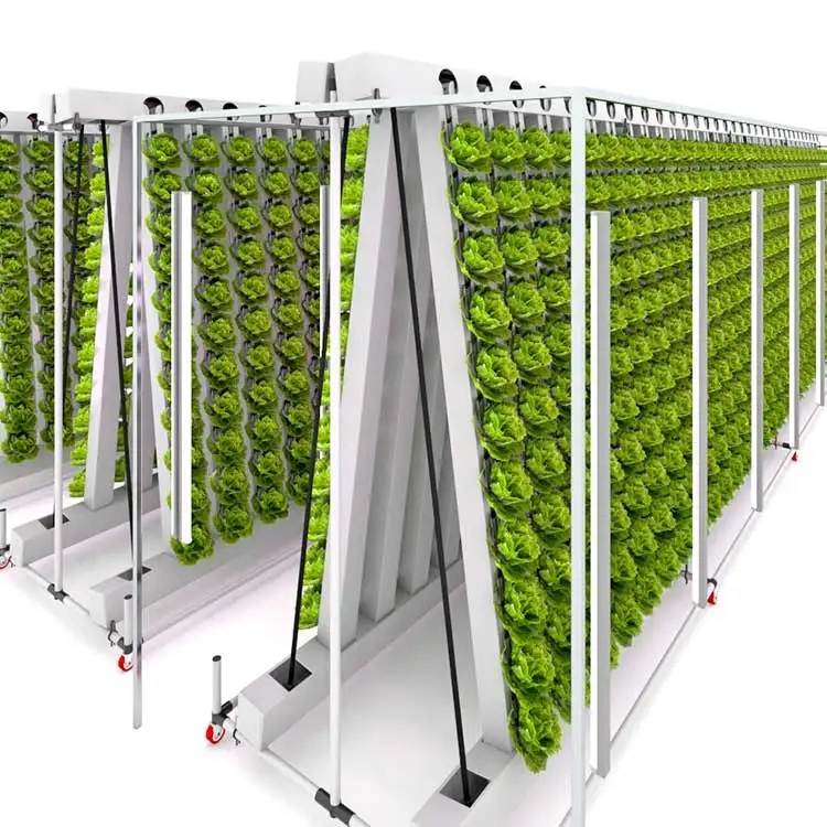 New type of agricultural hydroponic planting vertical system with 288 holes