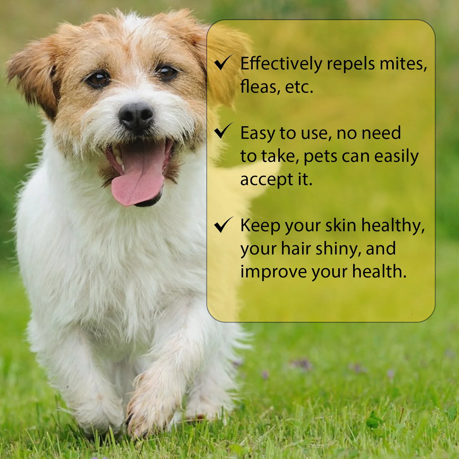 Thumbnail 4 - #25 Pet Flea & Tick Controls List of Top Picks