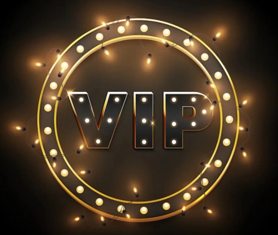 VIP Link Is Used To Pay Additional Shipping Fees Do Not Purchase This Link Easily