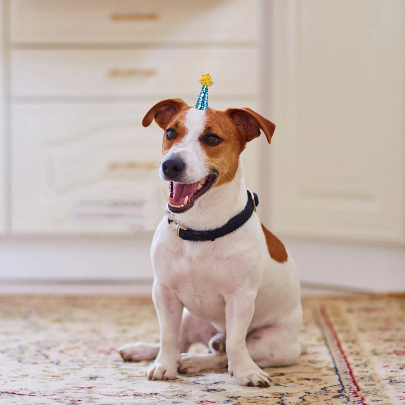 10pcs Dog Birthday Hats with Pompom & Adjustable Strap for Small Pets – Cat Dog Party Celebration Decoration