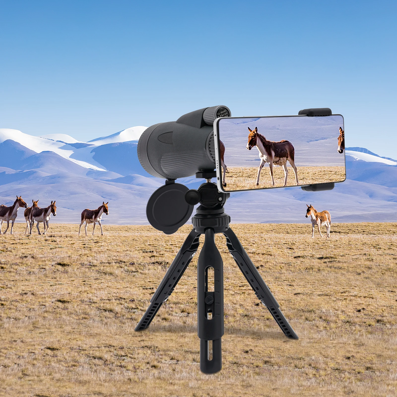 Telescopio monocular, binoculares monoculares para observación de aves con trípode y clip para teléfono, para observación de aves
