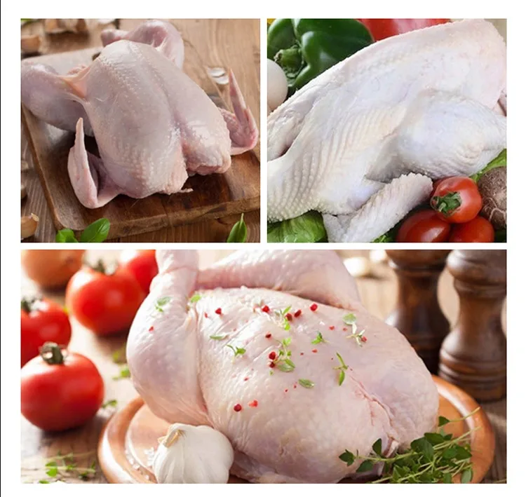 الفولاذ المقاوم للصدأ الدجاج ريشة تنظيف ناتف آلة Sclder ناتف الدجاج وآلة سخان مياه