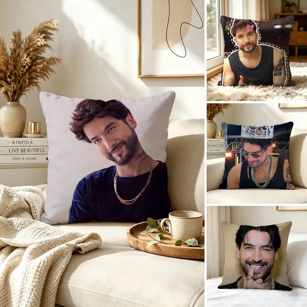 C-Charly Flow  Double-sided Pillow Case for Sofa Living Room Home office Decor Protective Cover