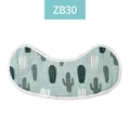 ZB30