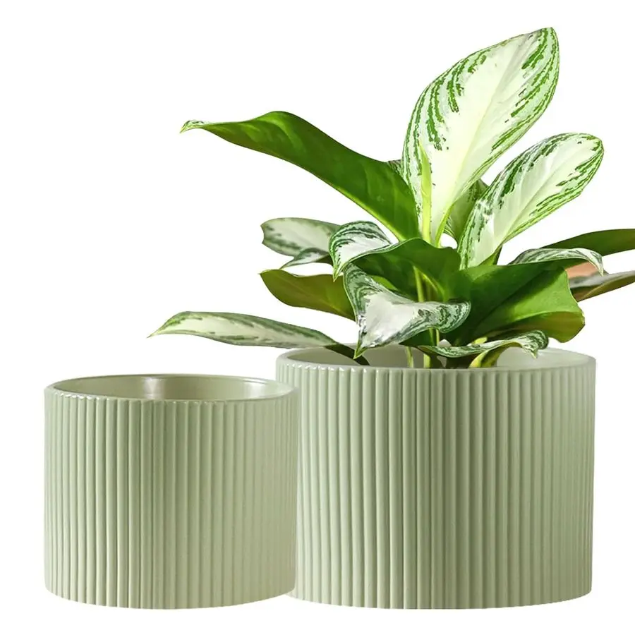 

Ceramic Plant Pots, 8.1 6 Inch Planters for Indoor Plants, Modern Flower Pot for Plant with Drainage, Medium Cylinder Flower Pot