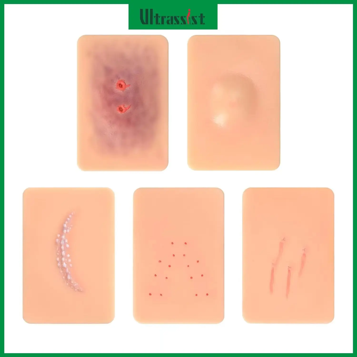 Ultrassist Wild Animal Bite Wound Model Outdoor Injury First Aid Demonstration Trainer for Wound Packing Repetitive Practice