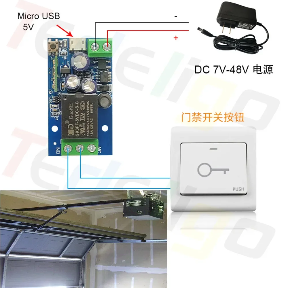 Tedeligo 2.4GHz Ewelink Smart Switch WiFi 12v 24v 6v Switch, telecomando per cancello del Garage, modulo di temporizzazione, funziona con Alexa