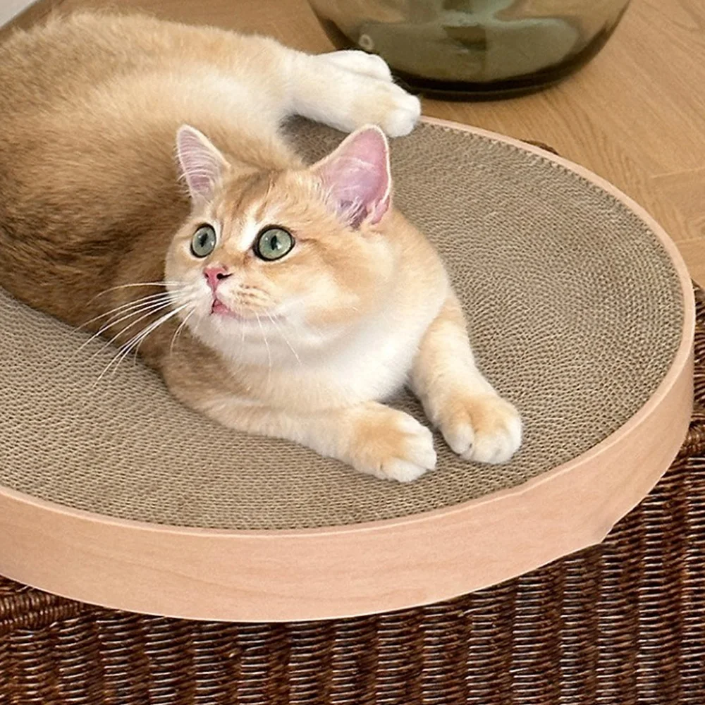 

Circular Cat Scratch Board, Durable and Non Shedding Cat Claw Board, Circular Corrugated Paper Nest, Scratch Resistant Cat Toy