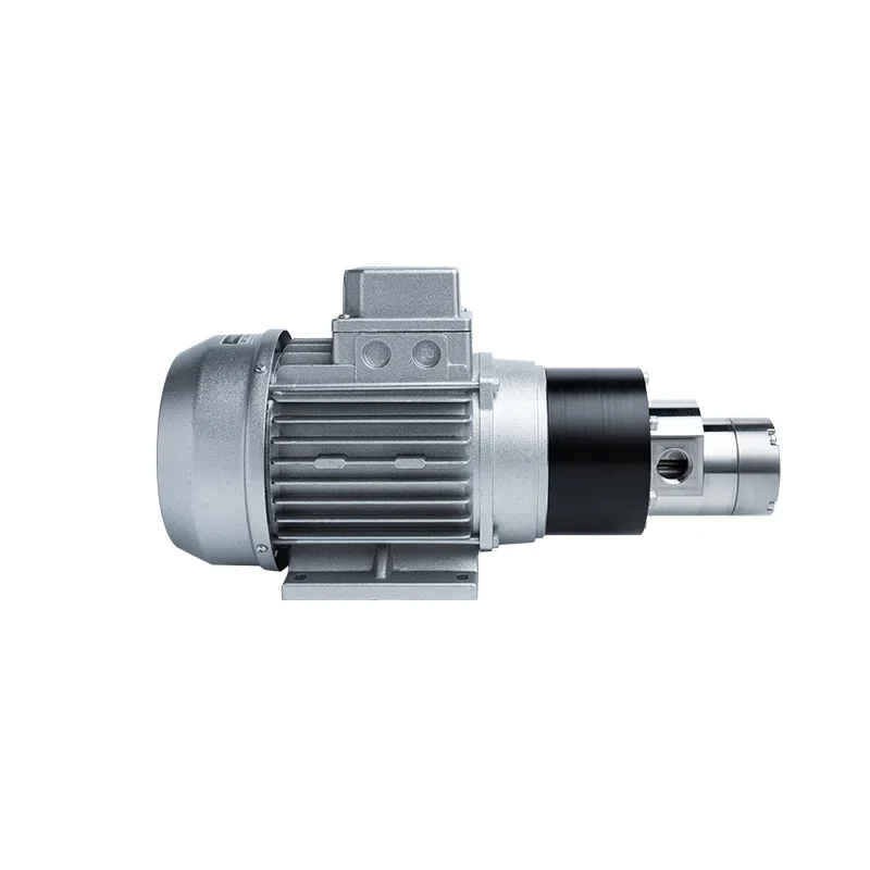 316L Stainless Steel Leakproof Mpb100 Magnetic Drive Gear Pump Equipped With 550W Three-Phase Asynchronous Motor