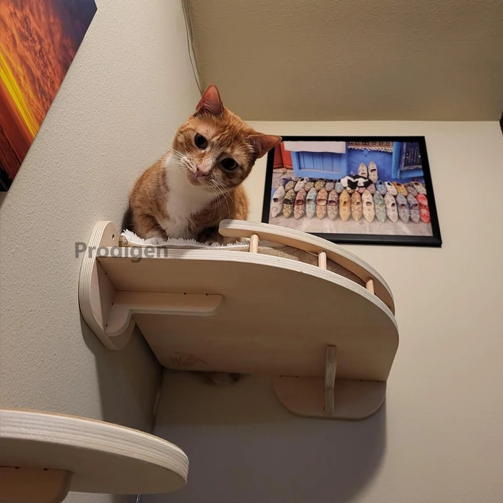 Wall Mounted Furniture Cat Corner Hammock With Steps Set For Indoor Cats Shelves And Perches Stepping Boards for Kitten