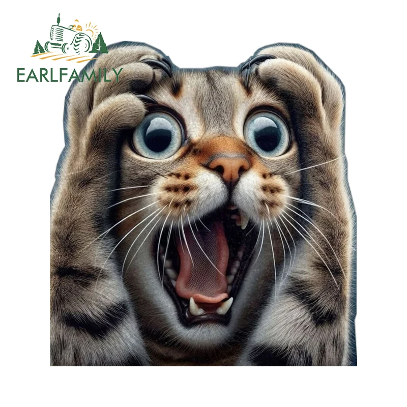 EARLFAMILY Shocked Cat Funny Meme Car Stickers Creative Vivid Graphics Sunscreen Camper Accessories PVC Car Goods Decoration