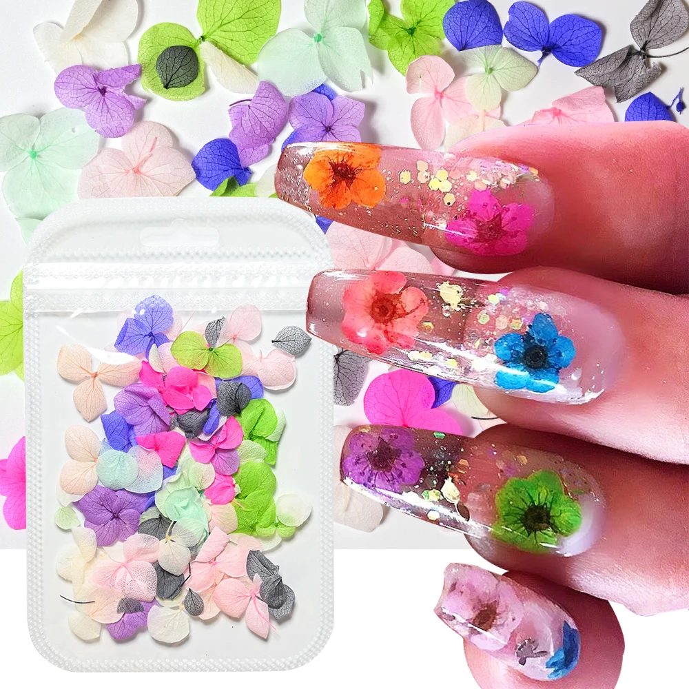 Mix Color 50PCS Real Petal Nail Art Sticker Lovely Natural Nail Decoration Flowers  Dry Flowers for Manicure DIY Nail Decals