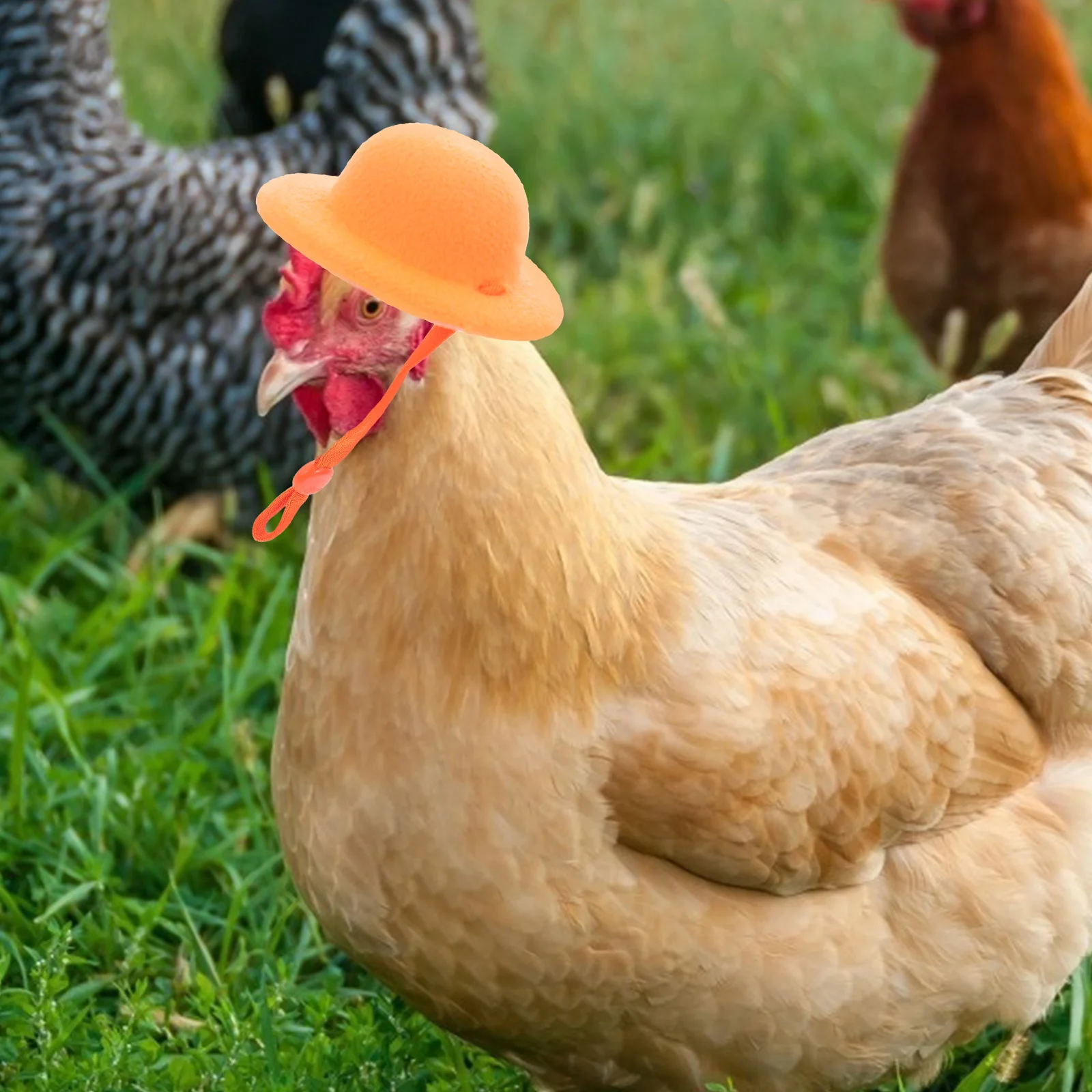 

6Pcs Pet Chicken Hats Adjustable Design Adorable Small Pet Hats Funny Hen Accessories Decorative Chicken Supplies