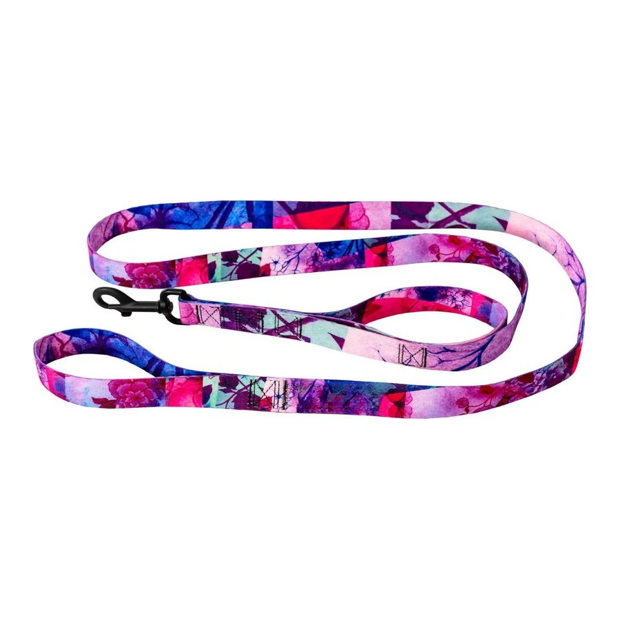 

Прочный поводок для собак, проверенный на выдержку при тяге, для прогулок и дрессировки, с принтом Daydream, с двойной ручкой, большой размер