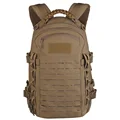 Coyote Brown