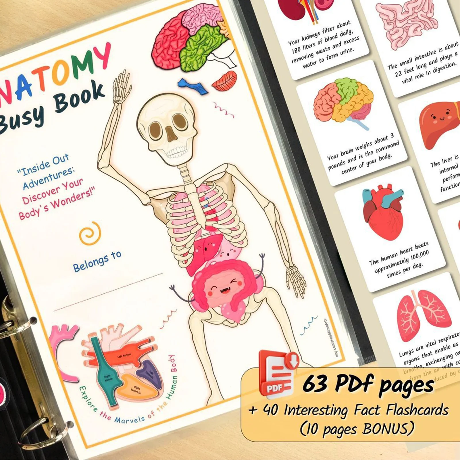 Classic Human Body Activity Book Better Know How Human Body Work dicine Physiology Knowledge Lover