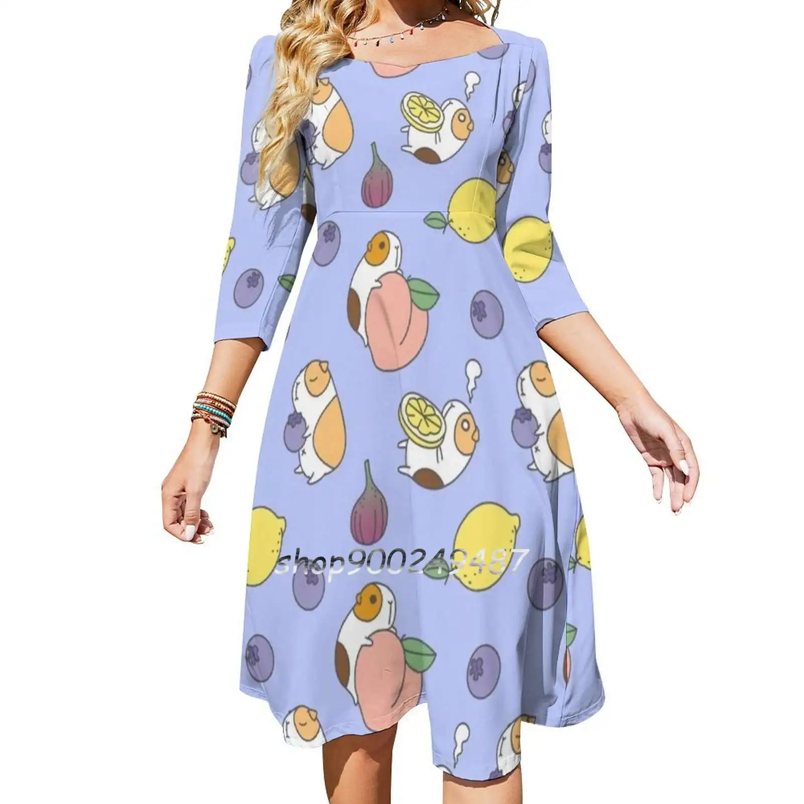 Guinea Pig And Blueberry Sweet Elegant Dress Women Korean Kawaii Square Collar Dress Guinea Pig Guinea Pig Blueberry Blue Berry