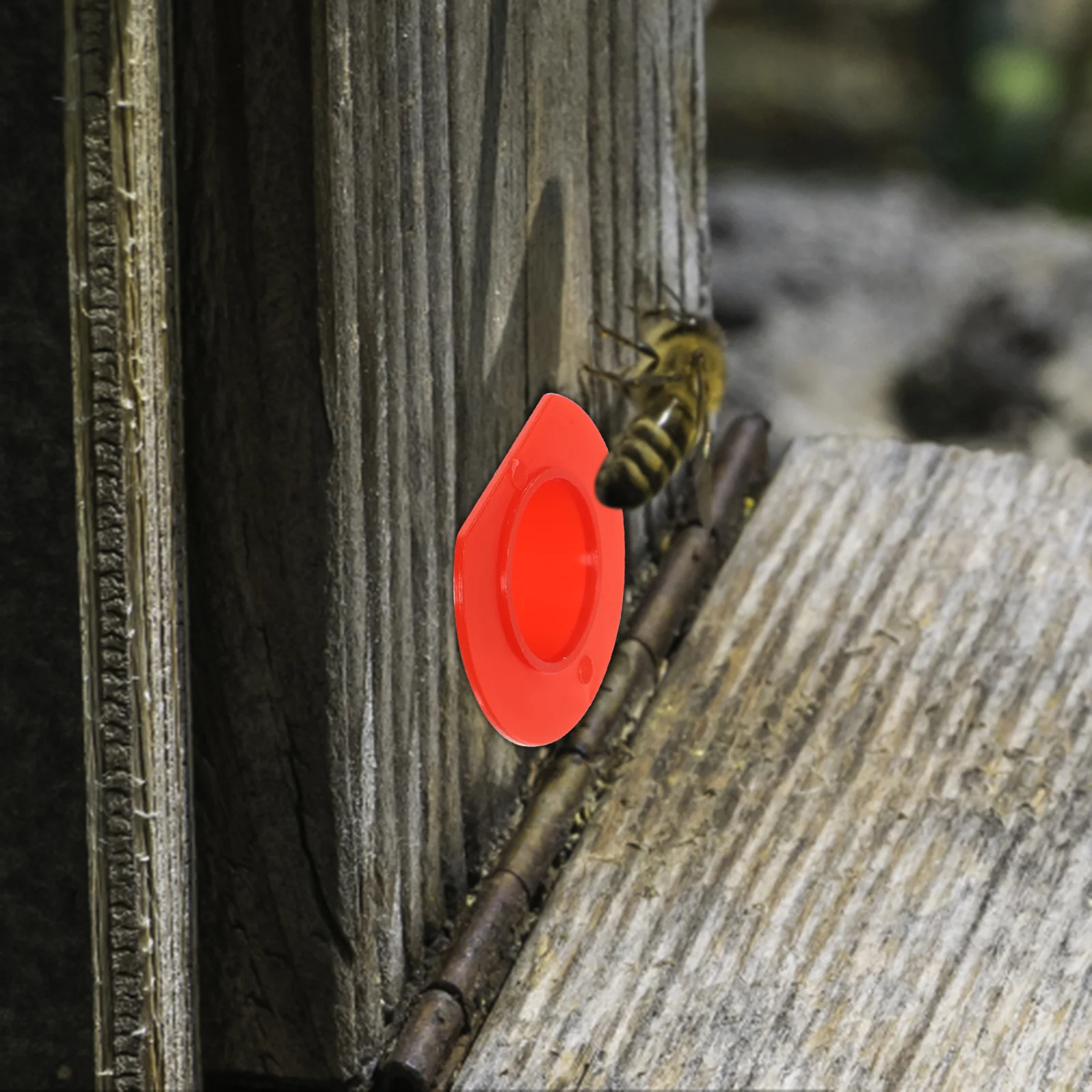 

50Pcs Plastic Cone Gate Bee Nest Door Vents for Beehive Box Entrance Exit Honey Collecting Beekeeping Supplies