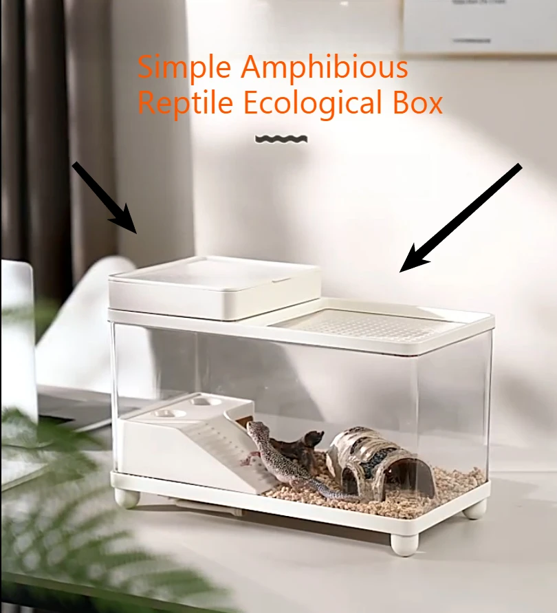 High Transparent PET Reptile Ecological Tank Low Maintenance Easy Care Small Pet Breeding Terrarium