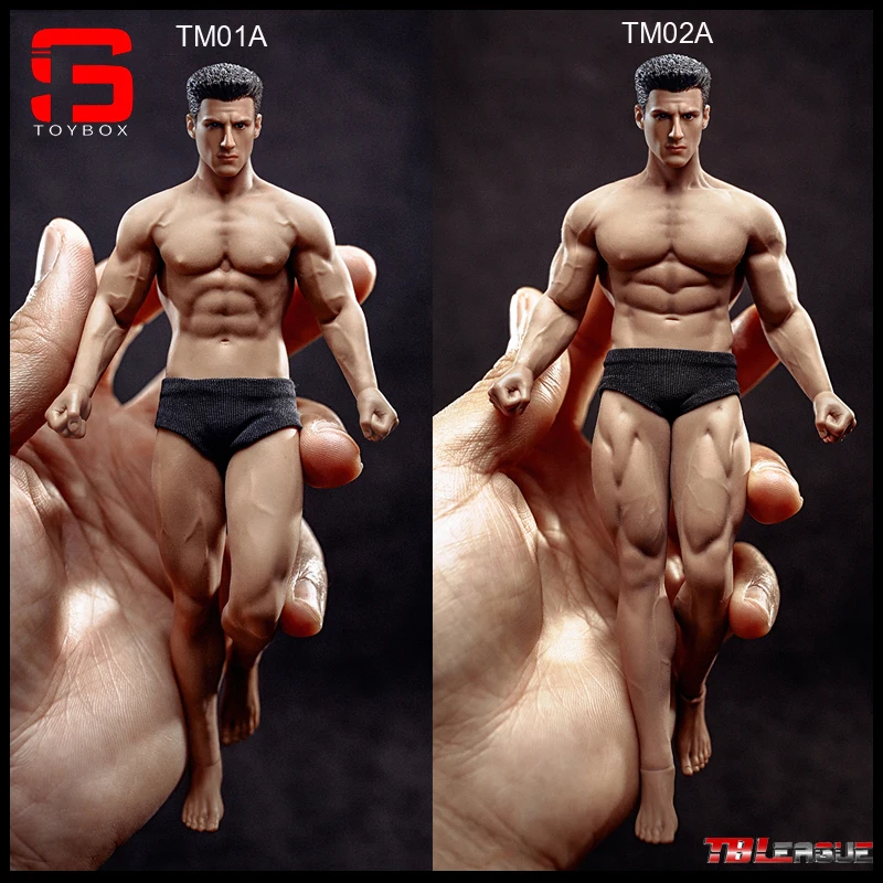TBLeague PHICEN TBL-01A フィギュア TBLeague Phicen TM01A TM02A 1/12 Male Suntan Seamless Body with