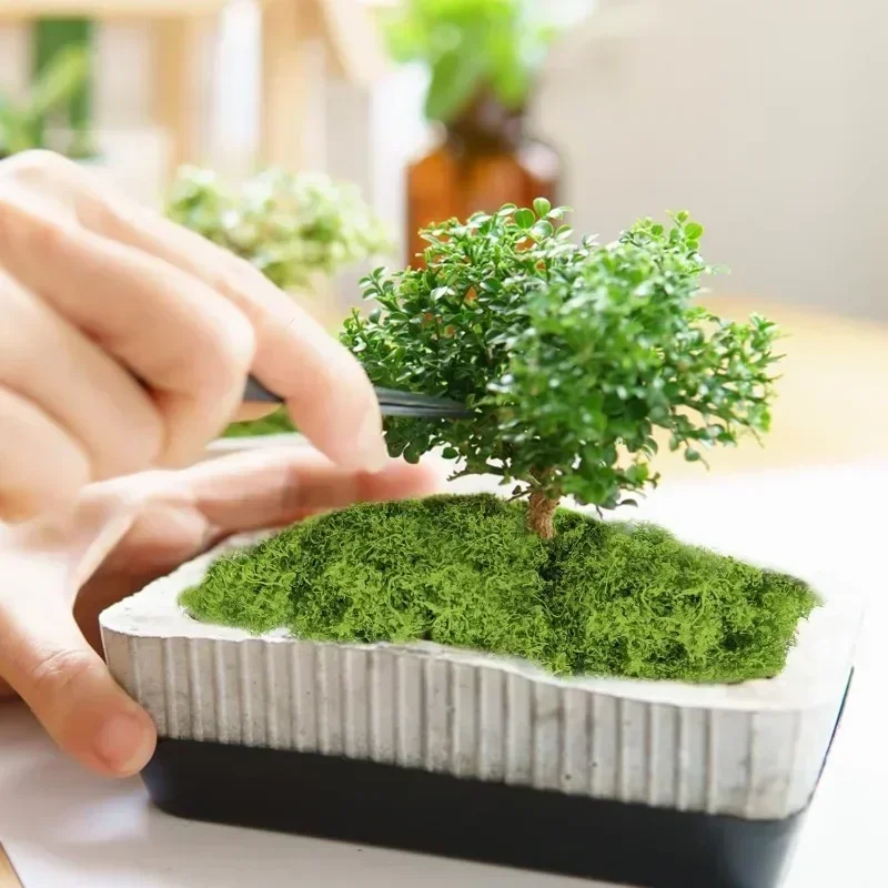 30g Artificial Green Plants Polyester Moss Grass Home Living Room Garden Decoration Mini Landscape Fake Flower DIY Crafts