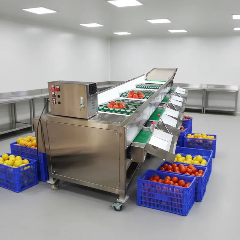 Automatic Tomato Lemon Fruit Vegetable Sorter Olive Peach Sorting Machine Potato Grading Machine
