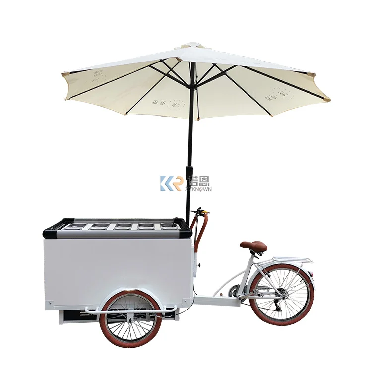 2022 New Fruit Salad Bar Street Mobile Electric Food Cart Ice Cream Car with Freezer Customization Pedal Pedicab for USA