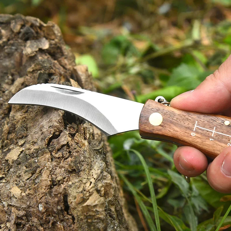 Outdoor Mini Mushroom Knife EDC Stainless Steel Wooden Handle Sharp Camping Hunting Survival Multifunctional Folding Knife Brush