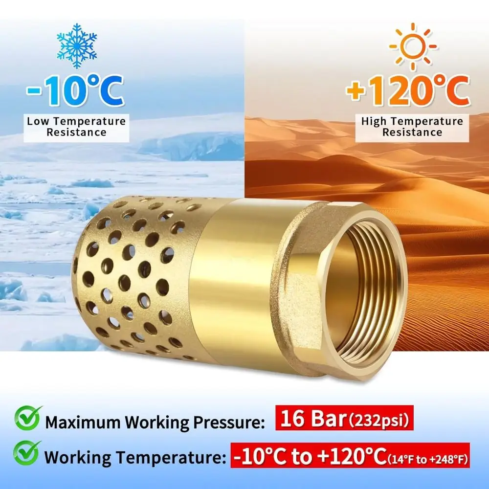 Anti‑Backflow Brass Body Foot Valve Female Thread Hollow Perforated Water Strainer Thickened Pump Filter Water Suction System