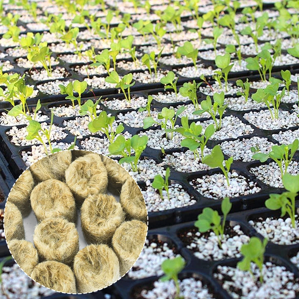 10/200Pcs Garden Seedling Grow Plug Round Rock Wool Starter Plugs Planting Block Soilless Substrate Pots Hydroponics Cuttings