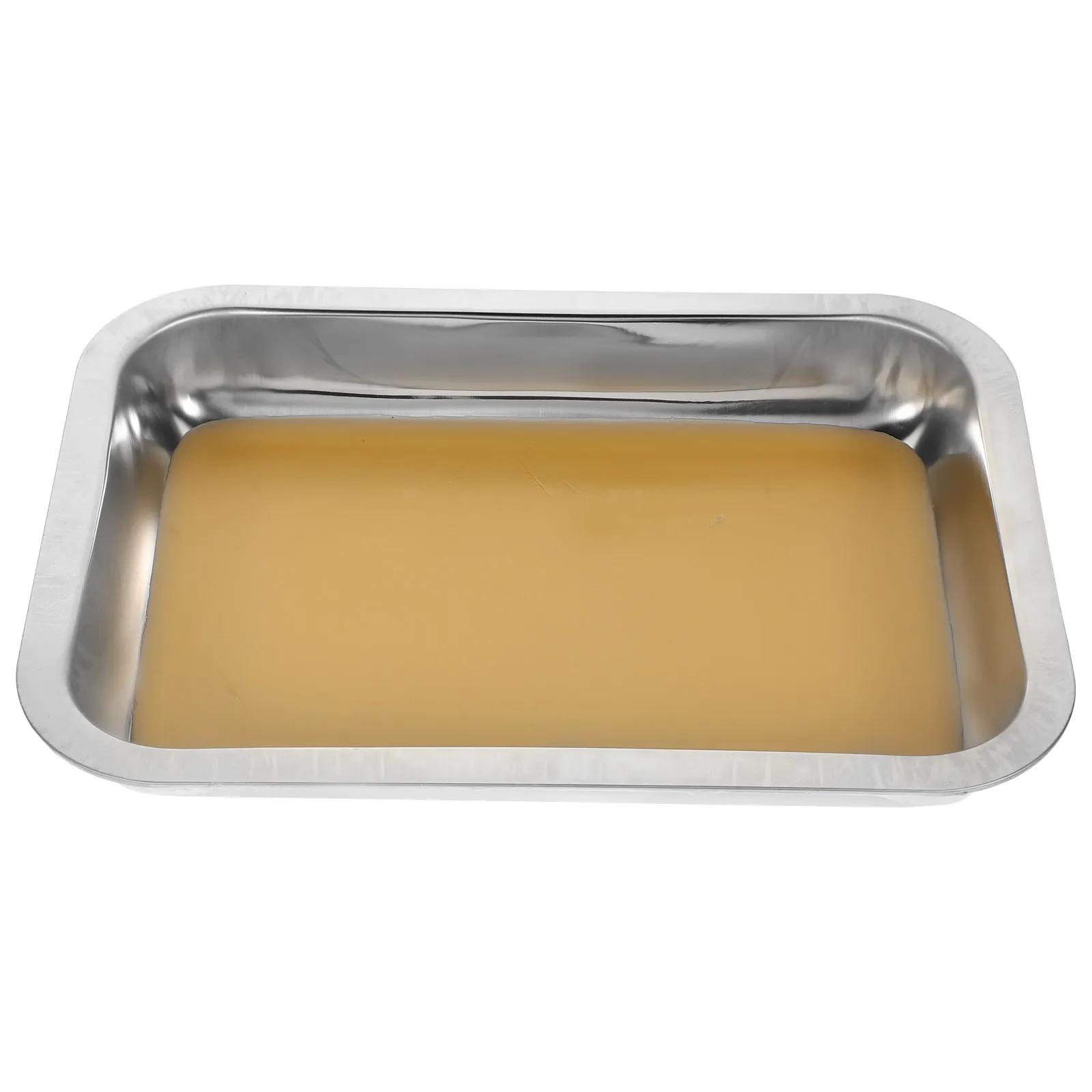 Stainless Steel Dissection Tray Biology Lab Dissecting Plate for Student Learning Precision Anatomical Exploration Polished