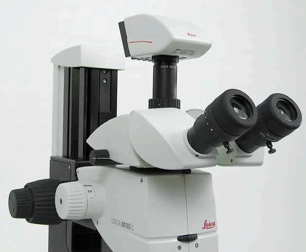 Leica M165 FC Fluorescent Stereo Microscope