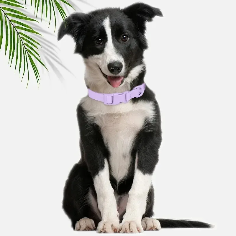 Neues Macaron-farbiges PVC-Hundehalsband, wasserdicht, schmutzabweisend, leicht zu reinigen, Haustierhalsband, verstellbares Halsband, Haustier-Hundehalsband – Detail 9