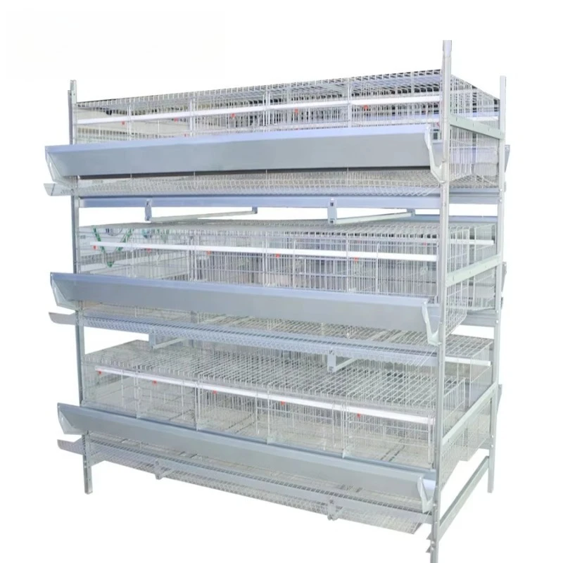 Equipo para avicultura, gallinas ponedoras, pollos de engorde, criadores, jaulas para pollos en venta