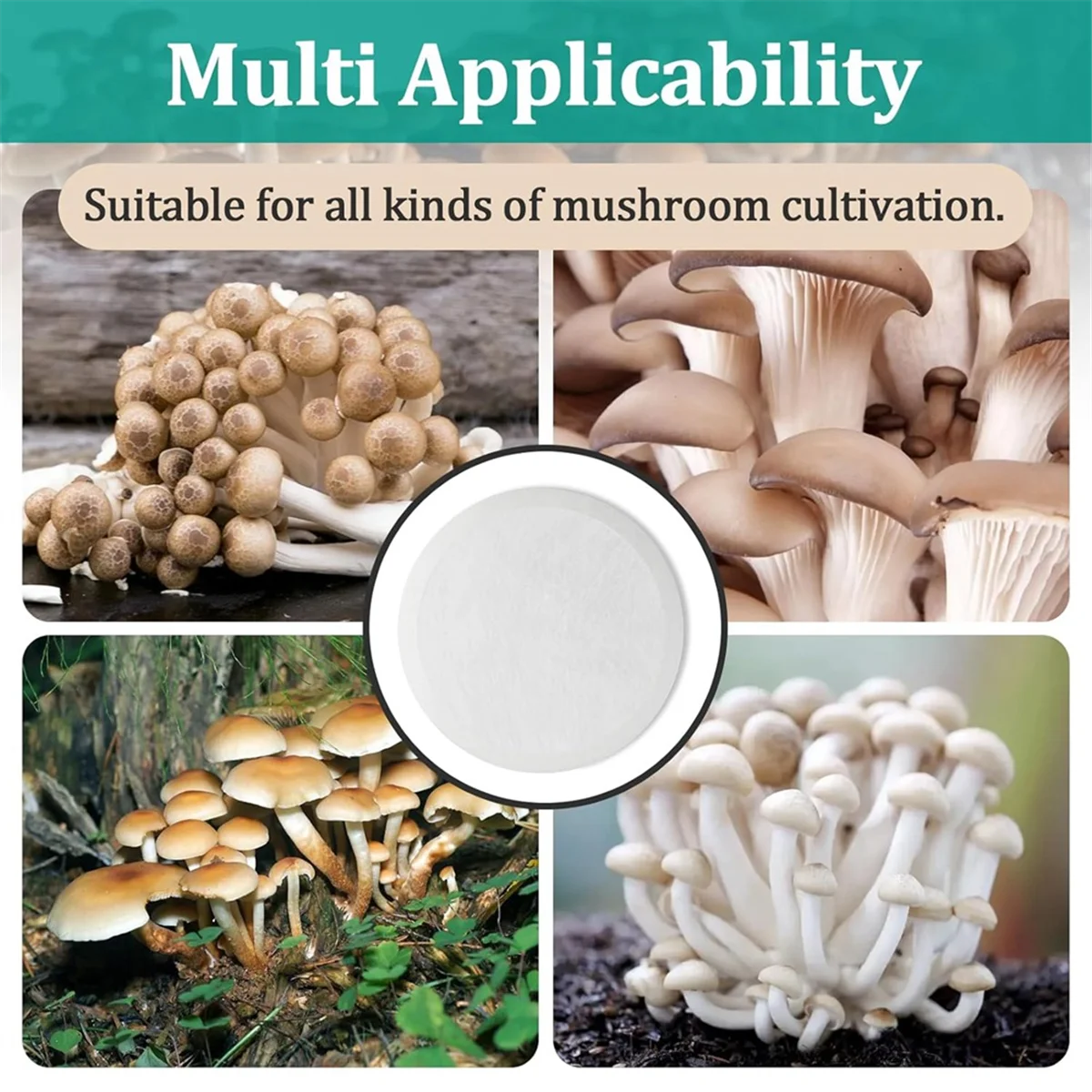 A20M 48Pcs 2.5inch Monotub Adhesive Filter Disks - 2MM Thick Monotub Filter Discs for Mushroom Growing Supplies -Mushroom Box